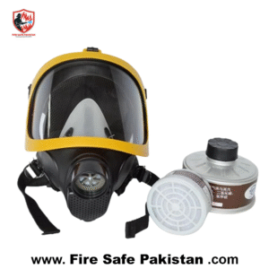 New Arrivals face shield / face mask with filter.