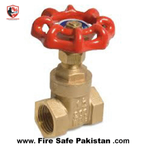 New Arrivals gate valve 2.5”