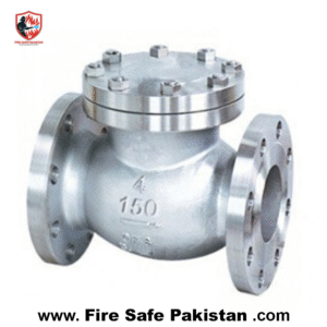 New Arrivals 2″ nrv valve ci (non return valve)