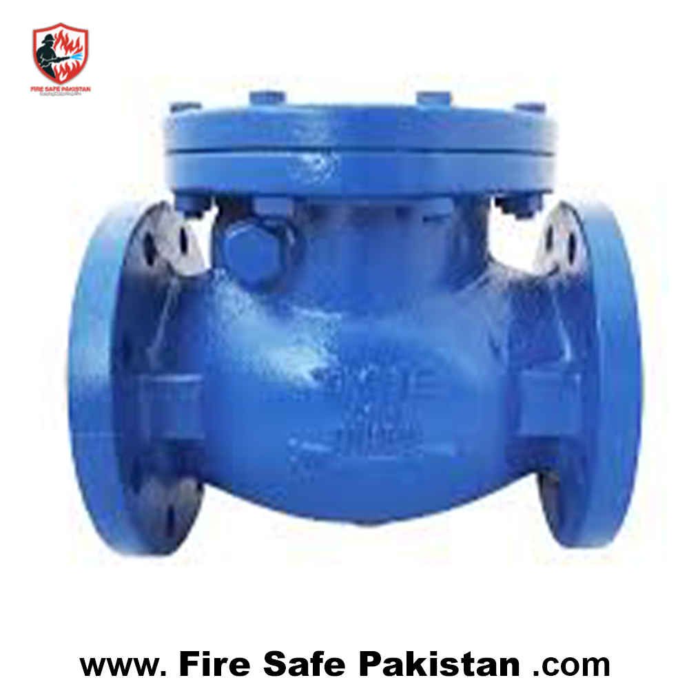 4″ nrv valve di (non return valve) 4″ nrv valve di (non return valve)