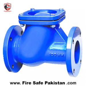 New Arrivals 6″ nrv valve ci (non return valve) china