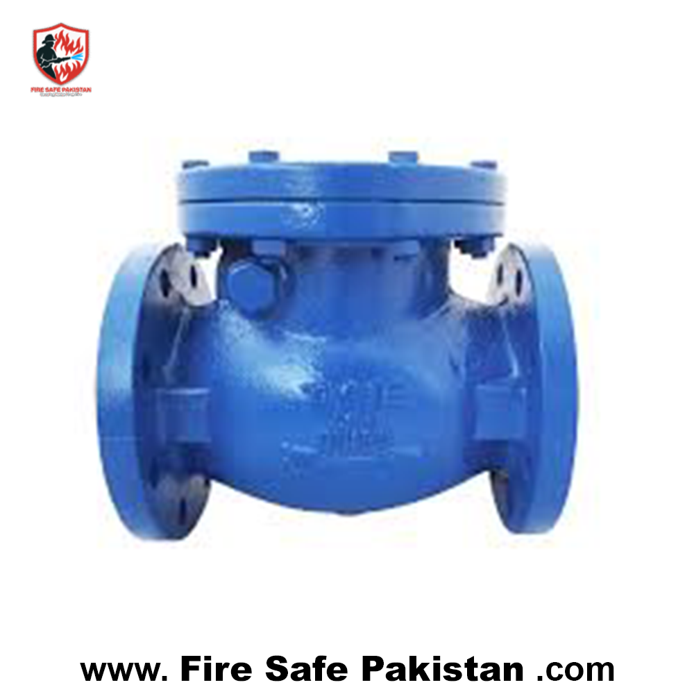 6″ nrv valve di (non return valve) china 6″ nrv valve di (non return valve) china